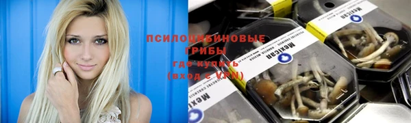 mix Алексин
